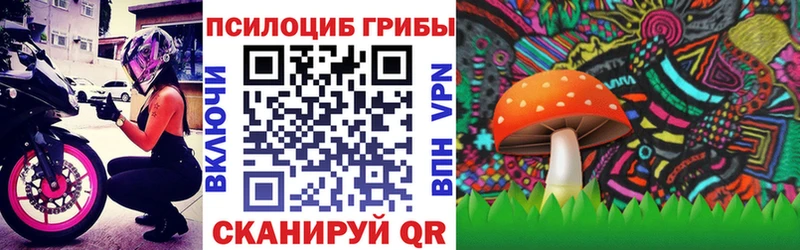 Псилоцибиновые грибы прущие грибы  Кудрово 